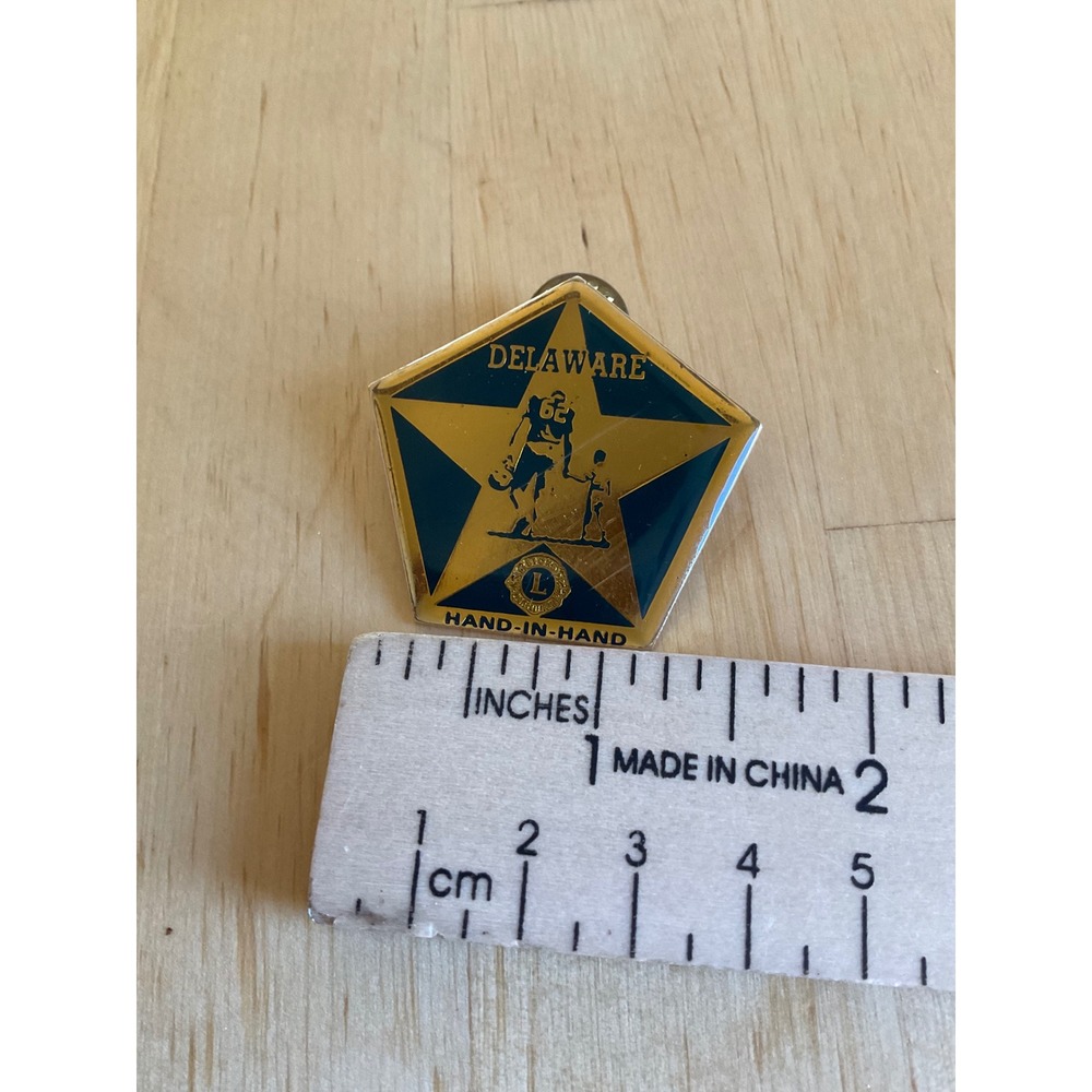 Vintage Lions Club Delaware Hand-In-Hand Enamel Lapel Pin Blue Gold Star Taiwan - Picture 4 of 4